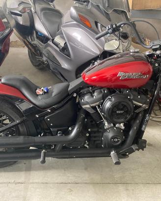 Harley davidson street bob 107 2020