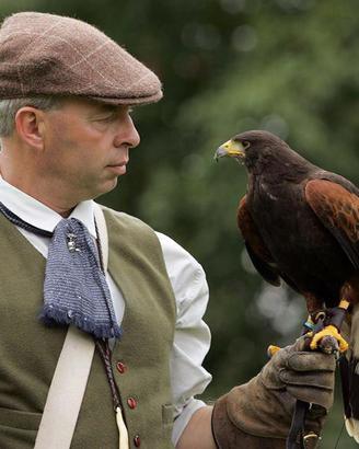 Rapaci per Bird Control - allontanamento colombi