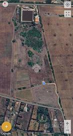 TER. AGRICOLO A SASSARI