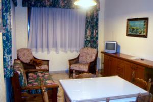 Bivani a Partinico zona ospedale