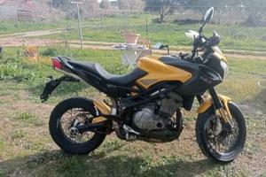 Benelli trek 1100