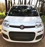 fiat-panda-1-2-lounge