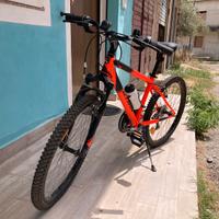 MOUNTAIN BIKE DA 24