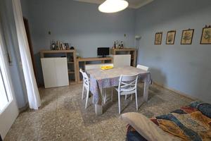 Stanza singola in appartamento zona università