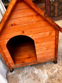 Casetta cane