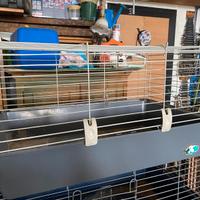 Accessori conigli cavie e criceti