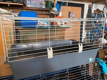 Accessori conigli cavie e criceti