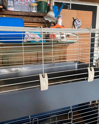 Accessori conigli cavie e criceti