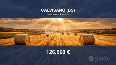 Immobile in asta di 54 m² a Calvisano