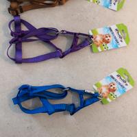 Pettorine cane taglia piccola nuove