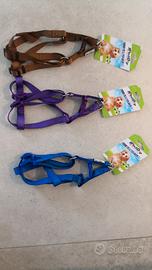 Pettorine cane taglia piccola nuove