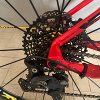 Focus Black Forest 29”