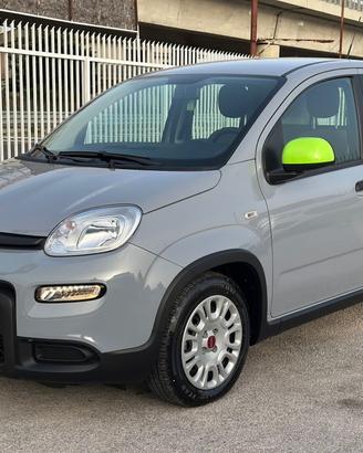 Fiat Panda 2022 1.0 FireFly ibrida/benzina 13.000