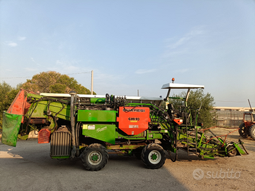 Guaresi macchina pomodoro