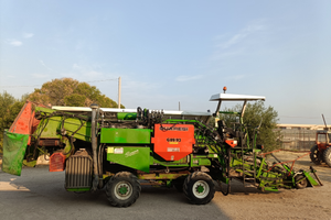 Guaresi macchina pomodoro