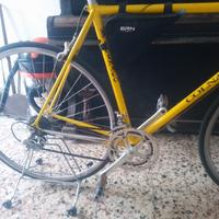 Colnago giallo ginestra 