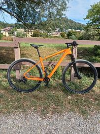 Mountain bk 29"carbonio artigianale in garanzia 