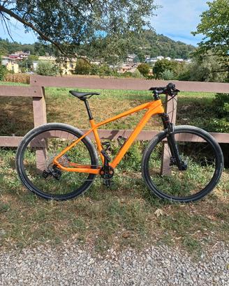 Mountain bk 29"carbonio artigianale in garanzia 