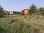 Immagine 10