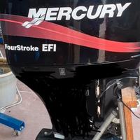Mercury 115 4t efi patente d1