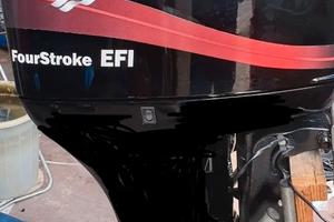 Mercury 115 4t efi patente d1