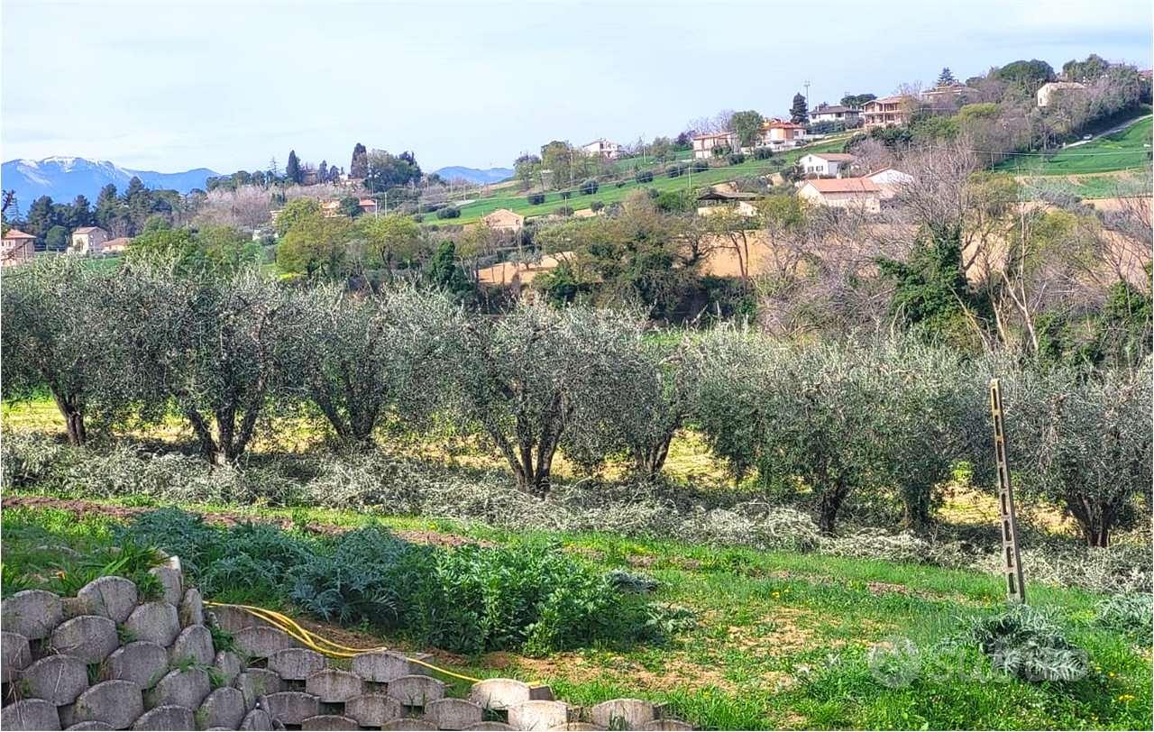 Terreno Agricolo a Magliano di Tenna - Vista 6