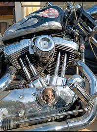 Harley davidson  1200 sportster