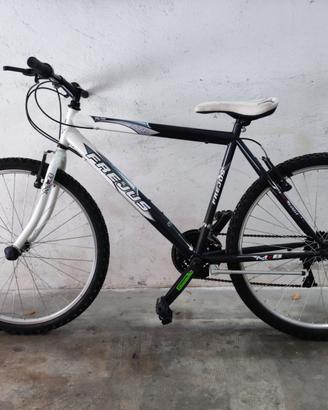 Bicletta mtb Frejus
