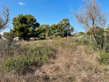 Terreno agricolo in loc. Is Serafinis a Carbonia