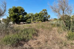 Terreno agricolo in loc. Is Serafinis a Carbonia