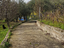 Immagine 11