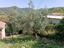 Immagine 13
