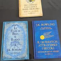 la biblioteca di Hogwarts 