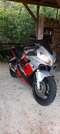 CBR 600