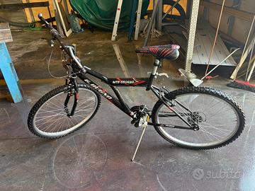 Bicicletta