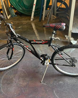 Bicicletta
