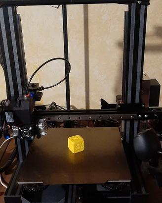 stampante Ender3 Pro con Klipper