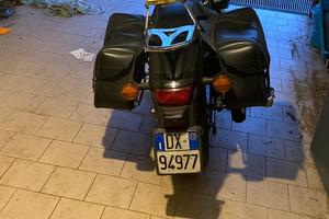 Honda shadow 750