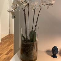 Vaso con orchidee finte