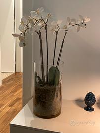 Vaso con orchidee finte