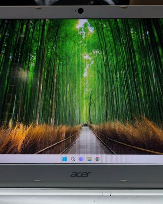 ACER PC Portatile Usato