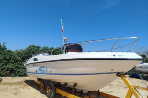 Ranieri Millennium 21/20 / Honda 225