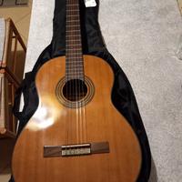 chitarra acustica 