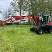 Escavatore forestale