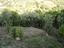 Immagine 10