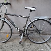 bicicletta da città