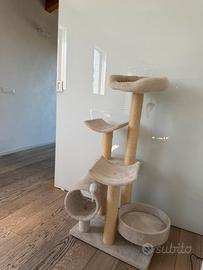 Cuccia Gatto