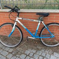 MTB KASTLE MOUNTAIN TOUR 26"