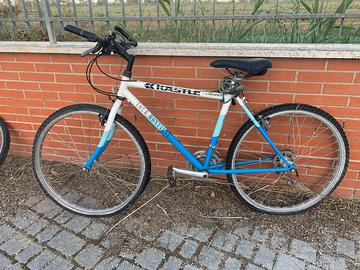 MTB KASTLE MOUNTAIN TOUR 26"