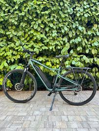 BICI ELETTRICA - RIVERSIDE 500E verde